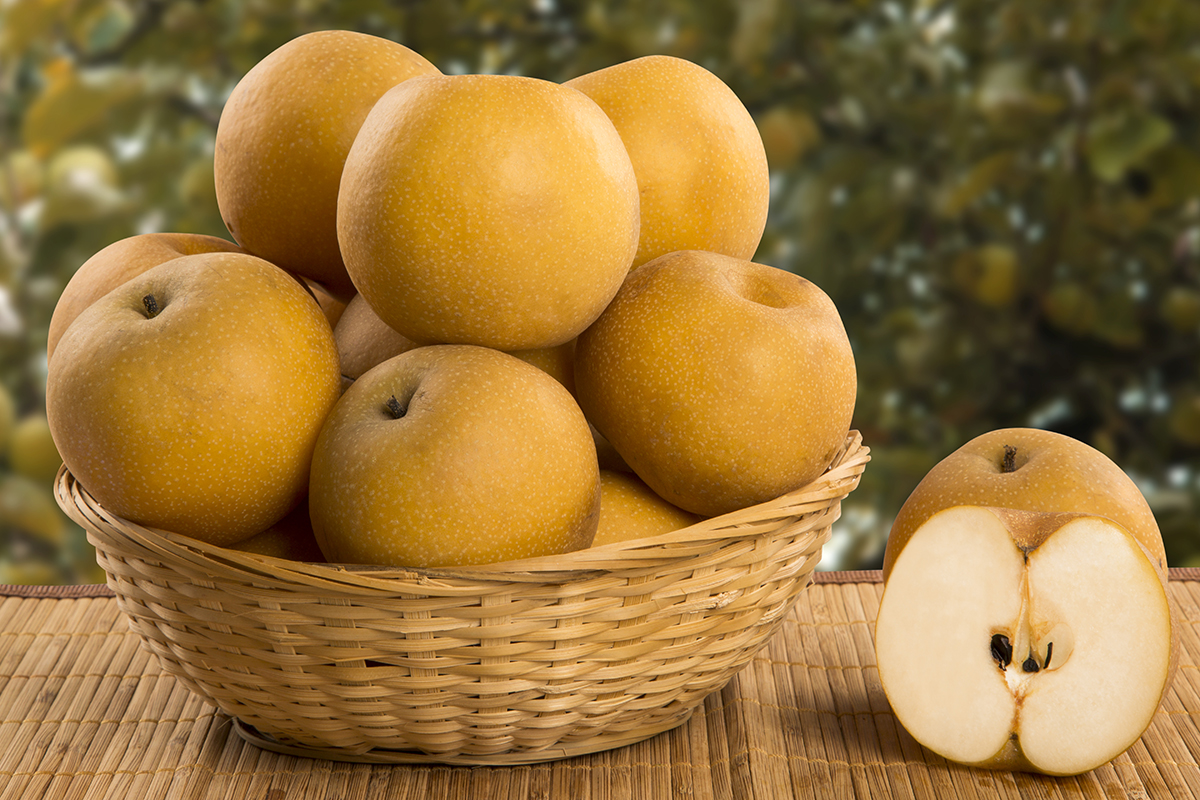 Asian pears in a basket over a wooden surface on a pear field background